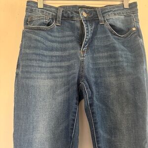 Judy Blue Classic Blue Jeans
